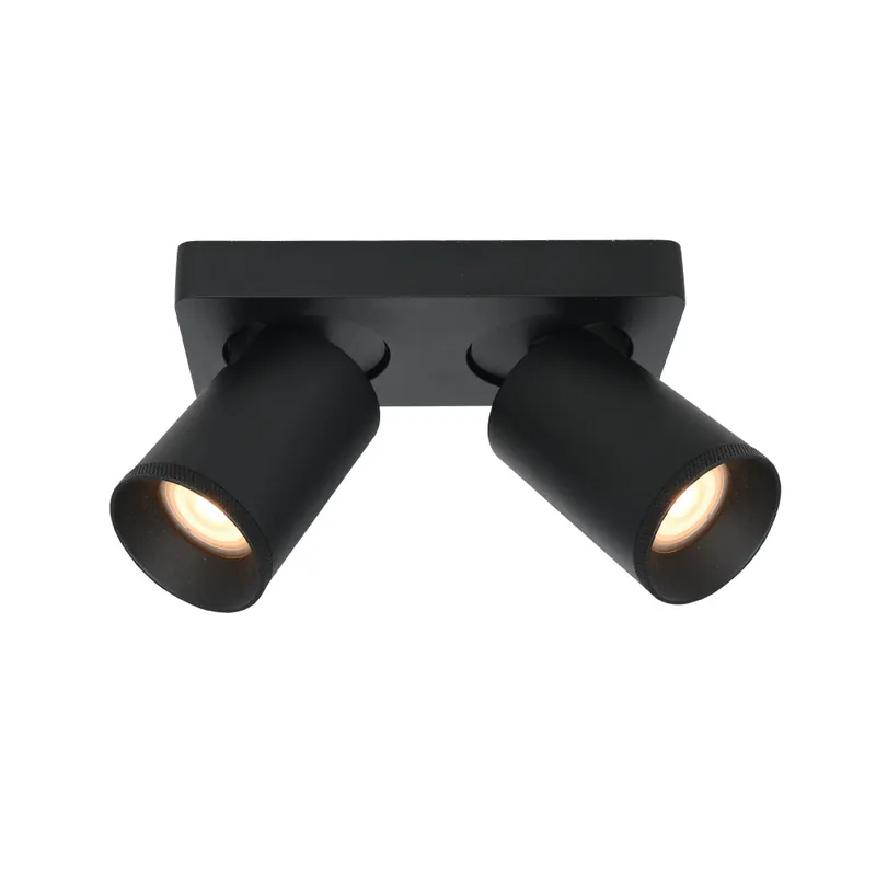 Hete Deal Artdelight Plafondlamp Mega 2L - Zwart