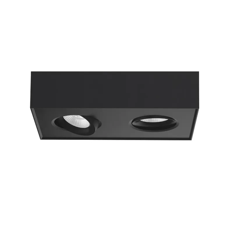 Artdelight Plafondlamp Brooklyn 2L - Zwart - Dim To Warm Dagaanbieding