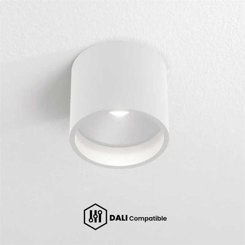 Fabrieksprijs Artdelight DALI Plafondlamp Ormond - Wit