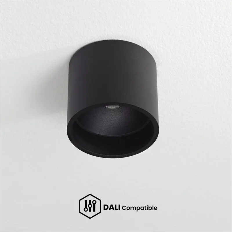 Artdelight DALI Plafondlamp Ormond - Zwart Hete Deal