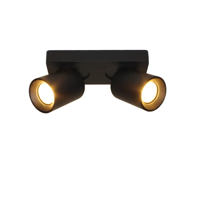 Artdelight Plafondlamp Megano 2L - Zwart Betrouwbaar