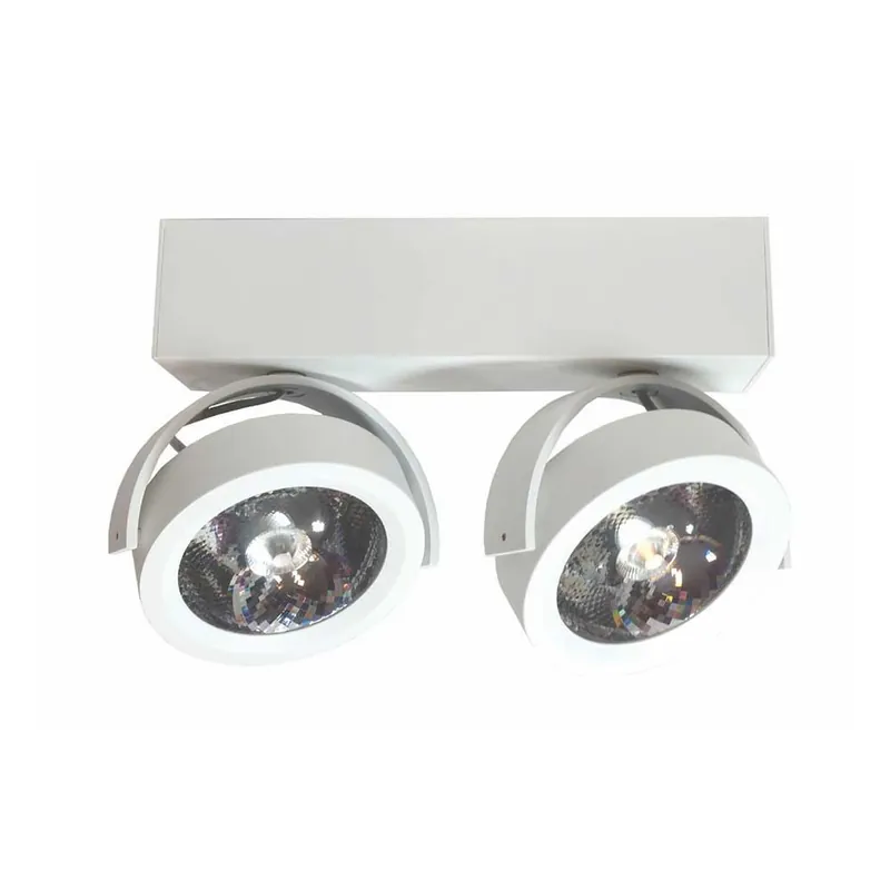 Artdelight Plafondlamp Dutchess LED 2L - Wit Shop Nu