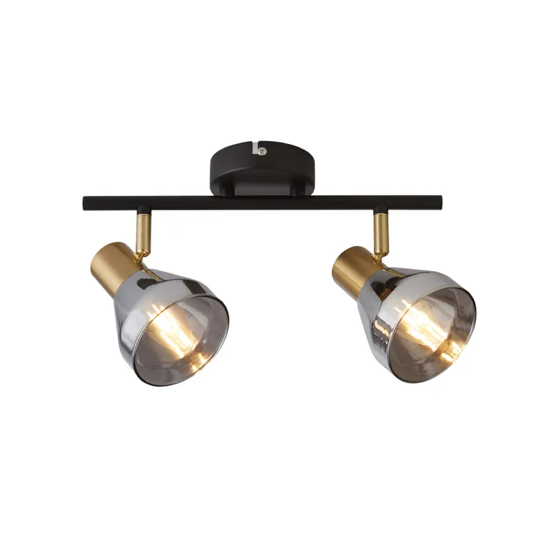 Searchlight Plafondlamp Westminster 2L - Smoke/Goud Direct Beschikbaar