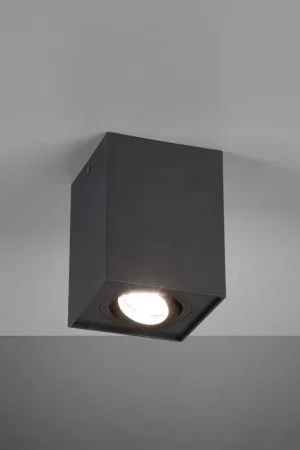 Direct Verzonden Trio Leuchten Plafondlamp Biscuit 1L - Zwart