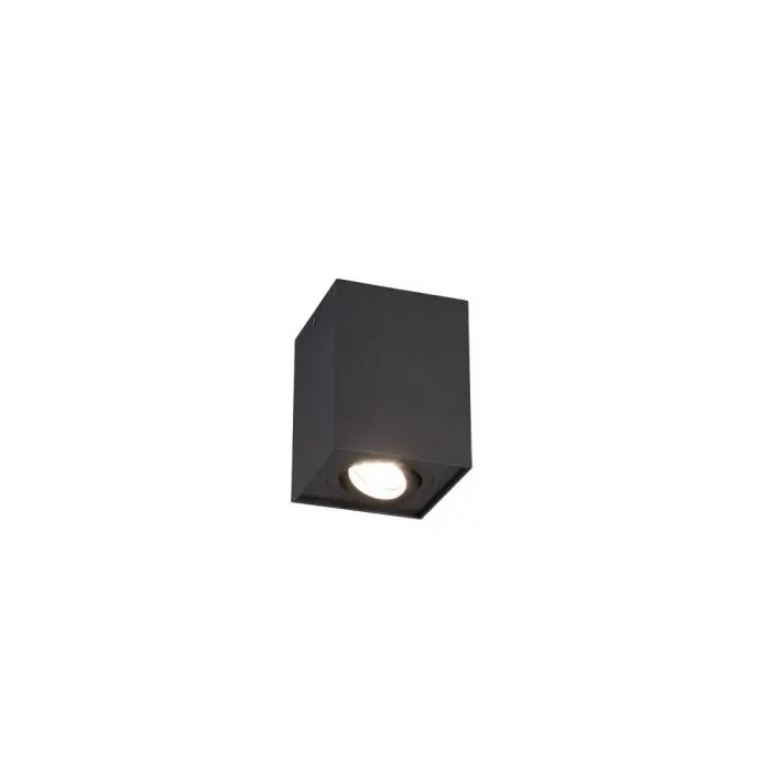 Nieuw Trio BISCUIT Plafondlamp Zwart, 1-licht