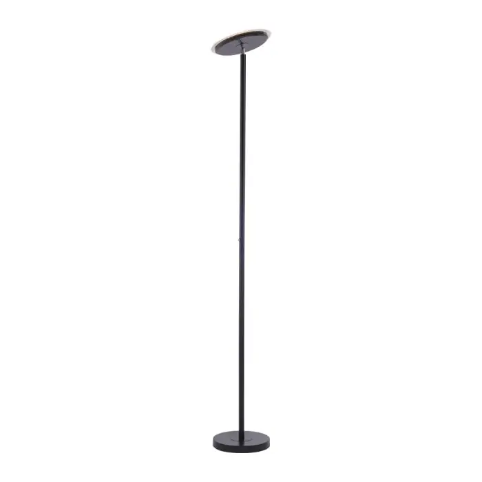 Leuchten-Direkt HANS Staande lamp LED Zwart, 1-licht Express Levering