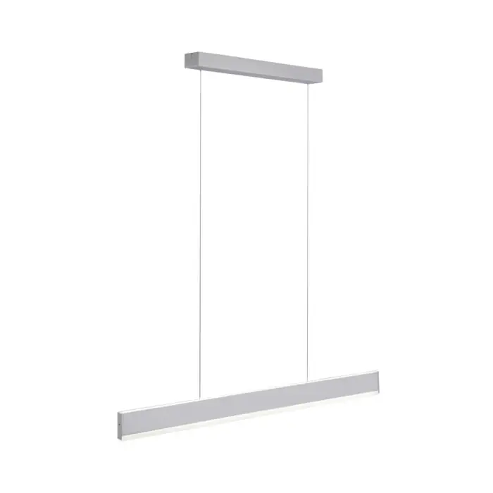 Nieuw Paul Neuhaus ARINA Hanglamp LED Roestvrijstalen kleur, 2-lichts, Bewegingsmelder