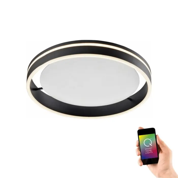 Laatste Kans Paul Neuhaus Q-VITO Plafondlamp LED Antraciet, 1-licht, Afstandsbediening
