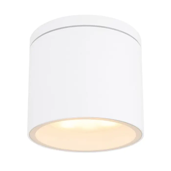 Globo ALCALA Buitenshuis plafond verlichting Wit, 1-licht Gecertificeerd