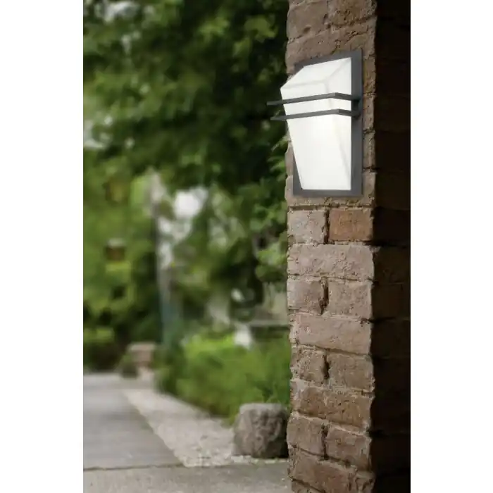 Beperkte Voorraad Eglo PARK Buitenmuur verlichting Antraciet, 1-licht