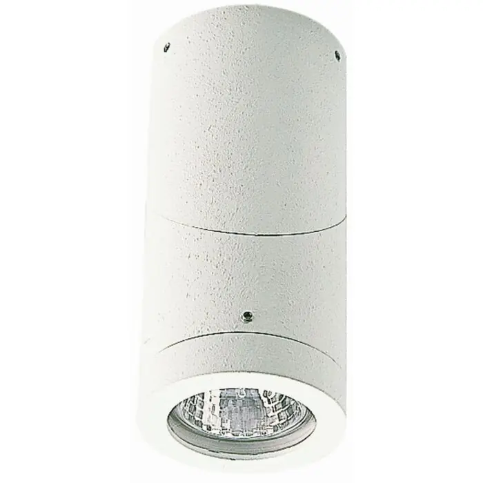 Laatste Kans Albert 2138 Buitenshuis plafond verlichting Wit, 1-licht