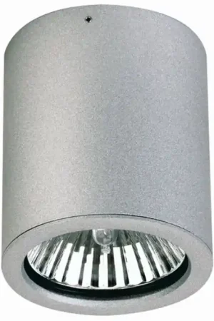 Albert 2130 Plafond opbouw verlichting Zilver, 1-licht Express Levering