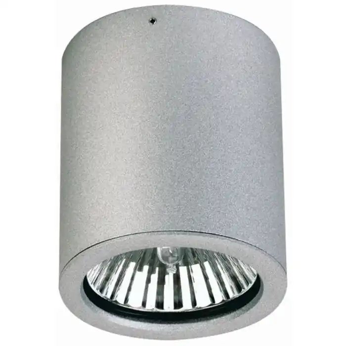 Albert 2130 Plafond opbouw verlichting Zilver, 1-licht Express Levering