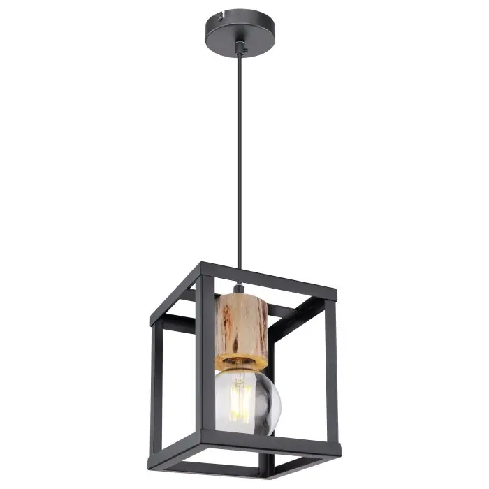 Globo HAGAR Hanger Zwart, 1-licht Direct Beschikbaar