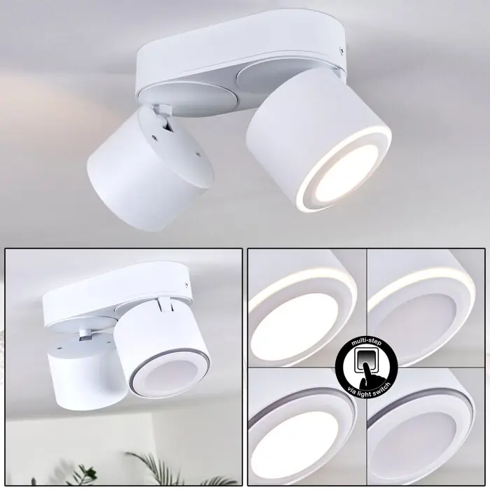 Appleton Plafondlamp LED Wit, 2-lichts Rechtstreeks Van De Fabrikant