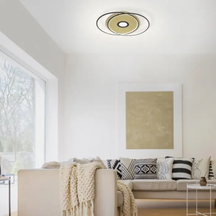 Must-Have Paul Neuhaus Q-AMIRA Plafondlamp LED Zwart, 1-licht, Afstandsbediening