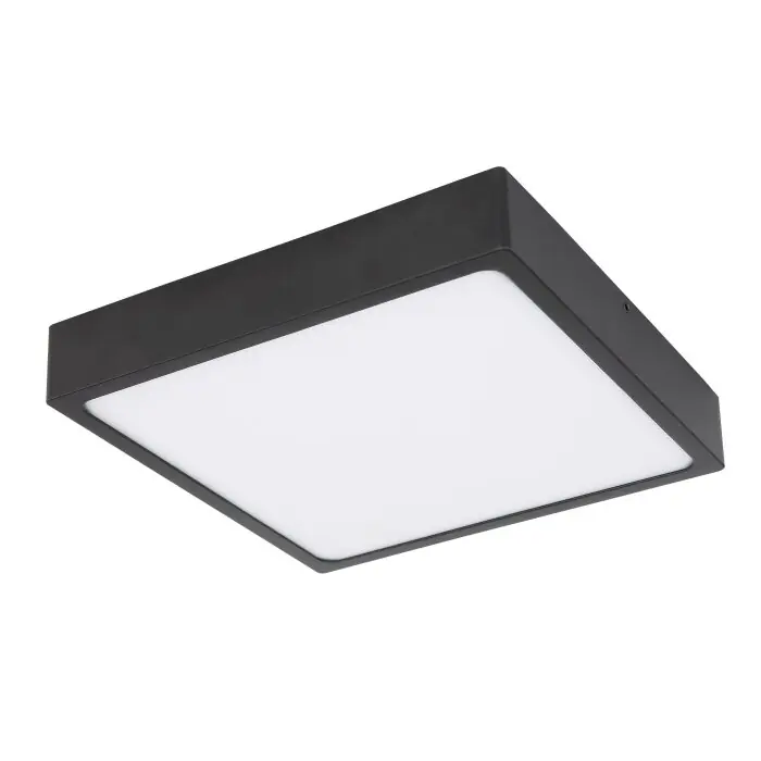 Laatste Versie Globo ECHO Plafondlamp LED Zwart, 1-licht
