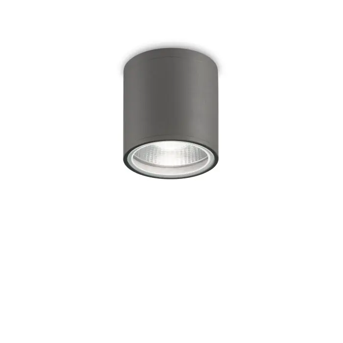 Hete Deal Ideallux GUN Buitenshuis plafond verlichting Antraciet, 1-licht