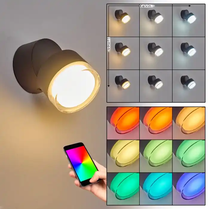 Papagayos Buiten muurverlichting LED Antraciet, 1-licht, Kleurwisselaar Weekendaanbieding