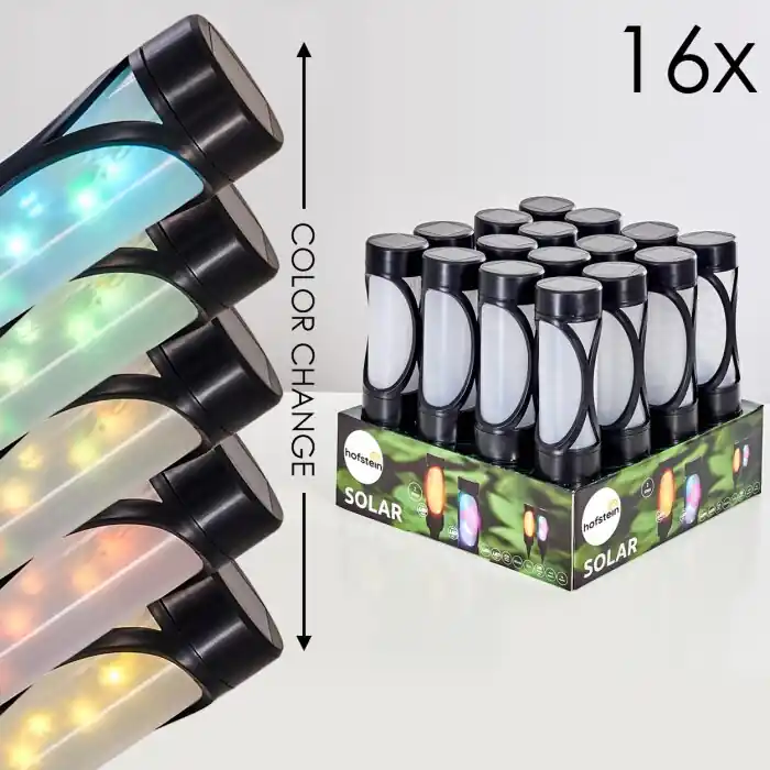 Lakeland Zonne-Licht Set van 16 LED Zwart, 1-licht Gratis Retour