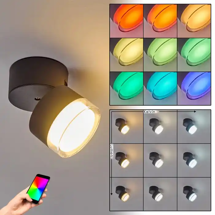 Papagayos Buitenshuis plafond verlichting LED Antraciet, Wit, 1-licht, Kleurwisselaar Dagaanbieding