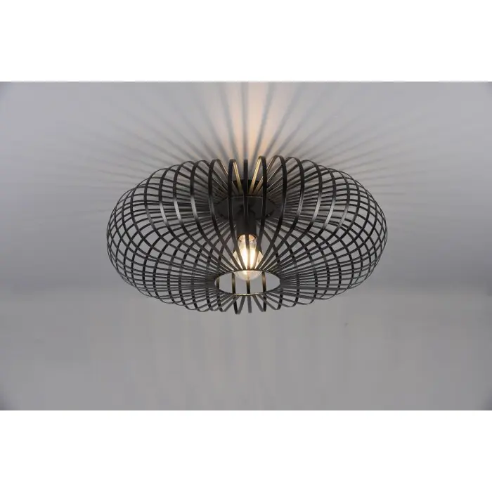 Hoge Kwaliteit Trio-Leuchten Johann Plafondlamp Zwart, 1-licht
