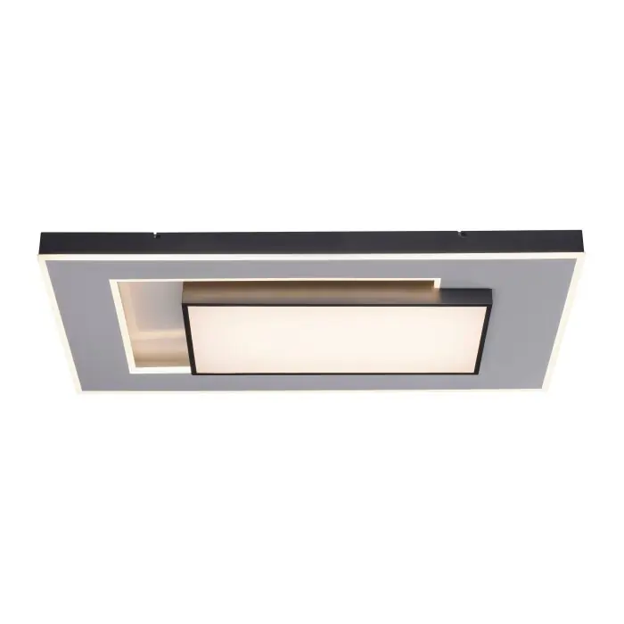 Koop Online Paul-Neuhaus Q-ALTA Plafondlamp LED Zwart, 1-licht, Afstandsbediening