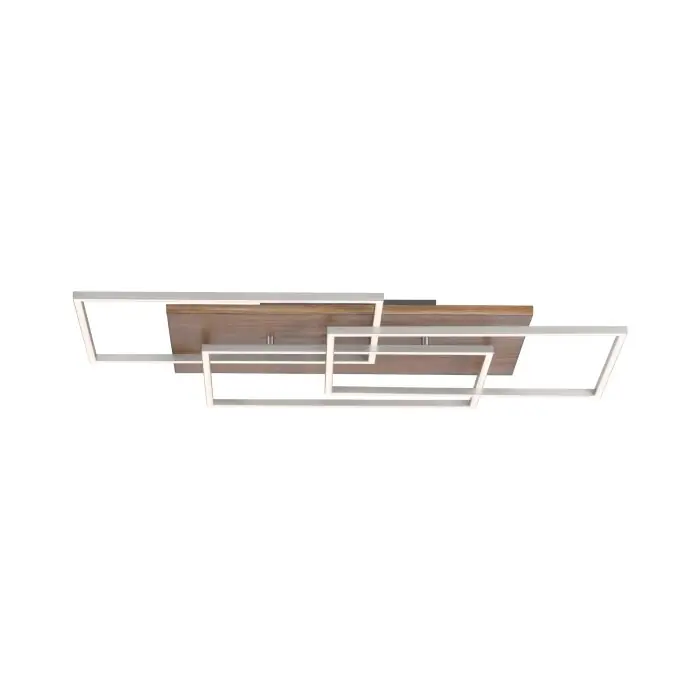 Paul-Neuhaus PALMA Plafondlamp LED Natuurlijke kleuren, Staal geborsteld, 1-licht, Afstandsbediening Direct Verzonden