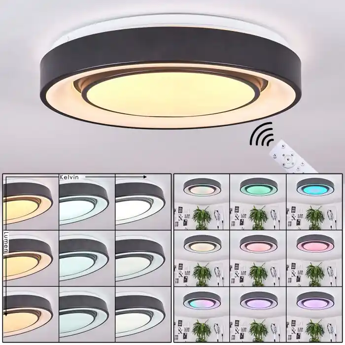 Veilige Betaling Page Plafondlamp LED Zwart, Wit, 2-lichts, Afstandsbediening, Kleurwisselaar