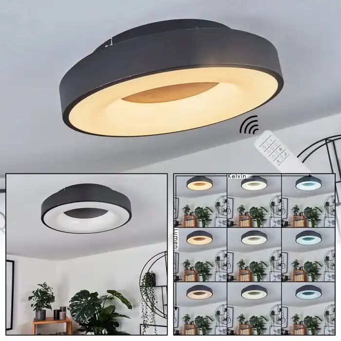 Sachseln Plafondlamp LED Zwart, 1-licht Express Levering
