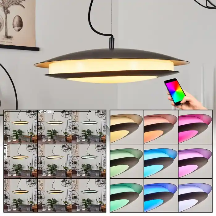 Gecertificeerd Ittingen Hanger LED Zwart, 1-licht, Kleurwisselaar