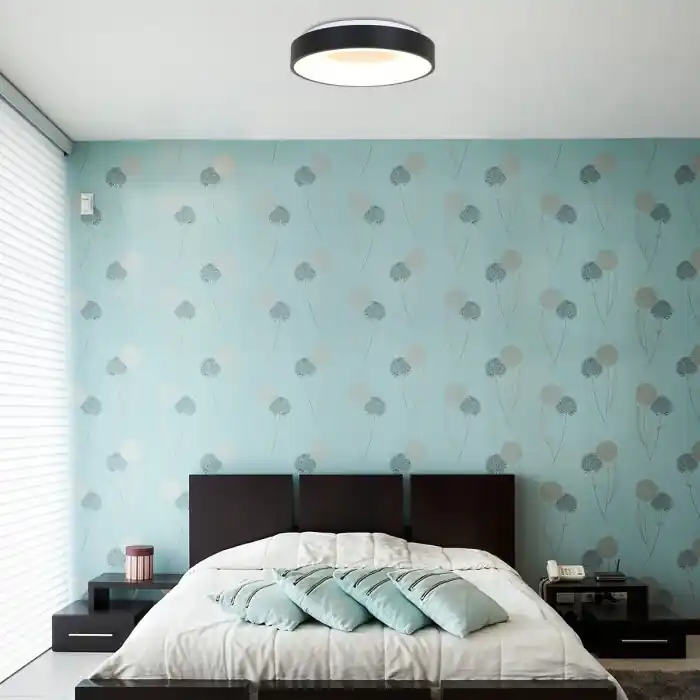 Tijdelijk Beschikbaar Steinhauer Ringlede Plafondlamp Zwart, 1-licht