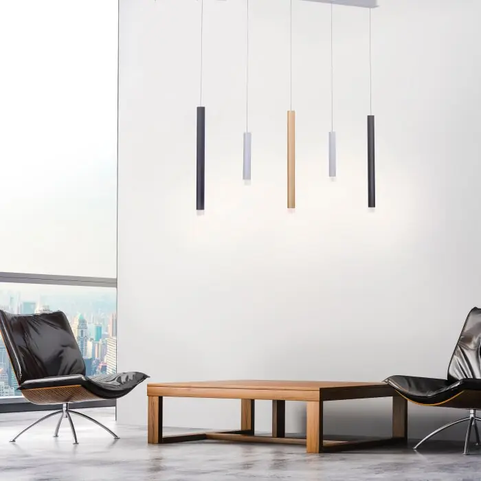 Beperkt Aanbod Paul Neuhaus PURE-GEMIN Hanglamp LED Aluminium, Messing, Zwart, 5-lichts