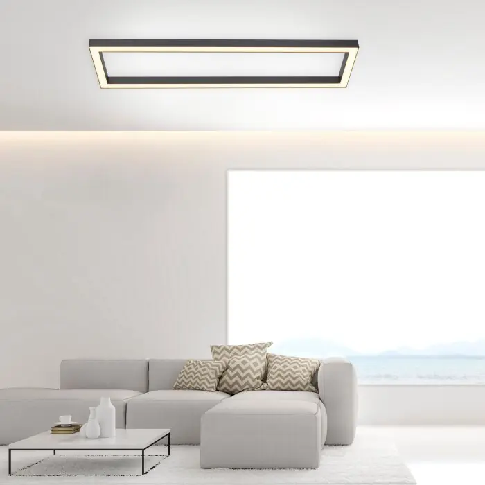 Laatste Kans Paul Neuhaus PURE-LINES Plafondlamp LED Antraciet, 1-licht, Afstandsbediening
