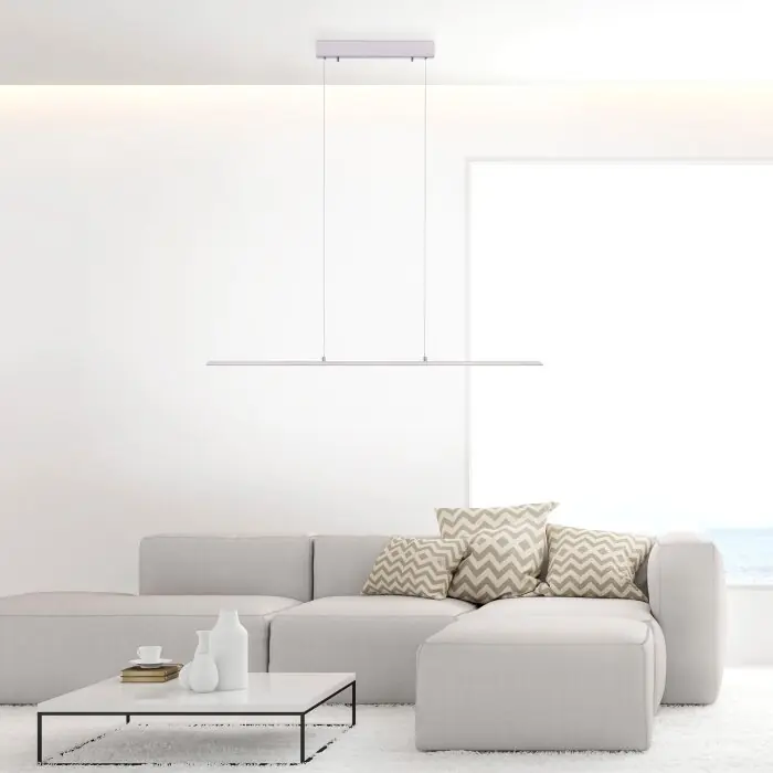 Paul Neuhaus PURE-LITE Hanglamp LED Roestvrijstalen kleur, 1-licht Direct Verzonden