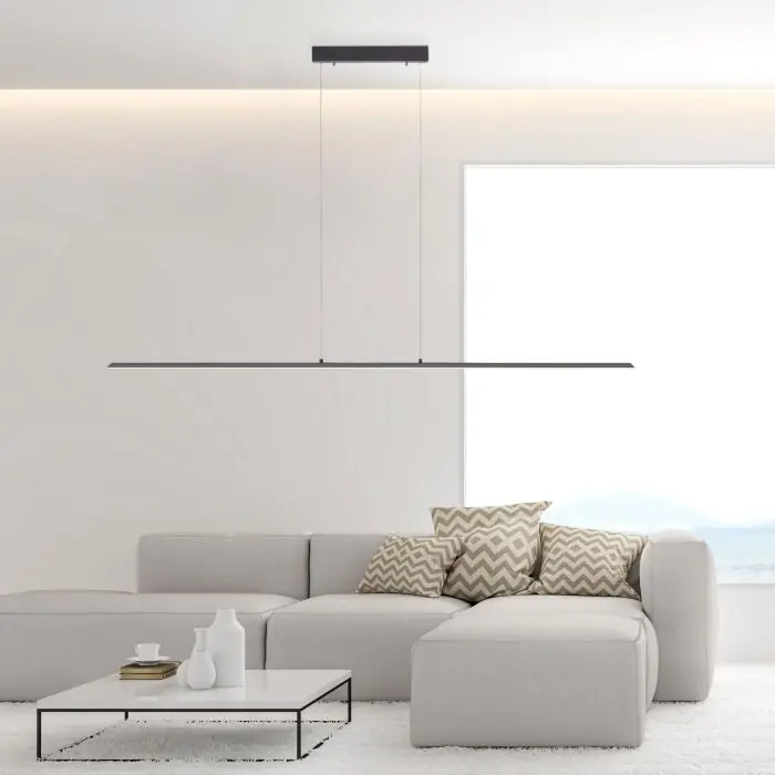 Paul Neuhaus PURE-LITE Hanglamp LED Antraciet, 1-licht Premium
