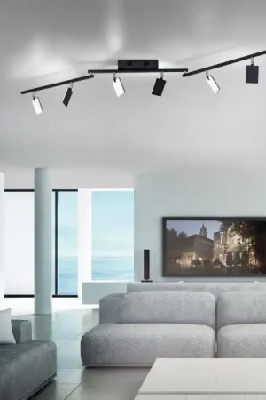 Betaalbaar Paul Neuhaus PURE-MIRA Plafondlamp LED Zwart, 6-lichts, Afstandsbediening