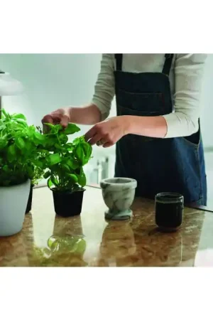 Alleen Vandaag LEDVANCE Indoor Garden Grondspies Wit, 1-licht