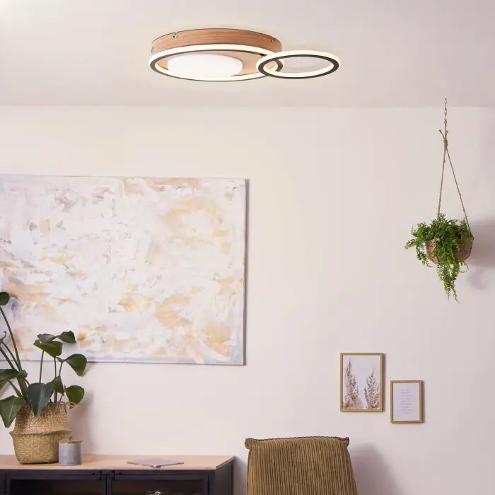 Veilige Betaling Brilliant Karney Plafondlamp LED Bruin, Zwart, 1-licht