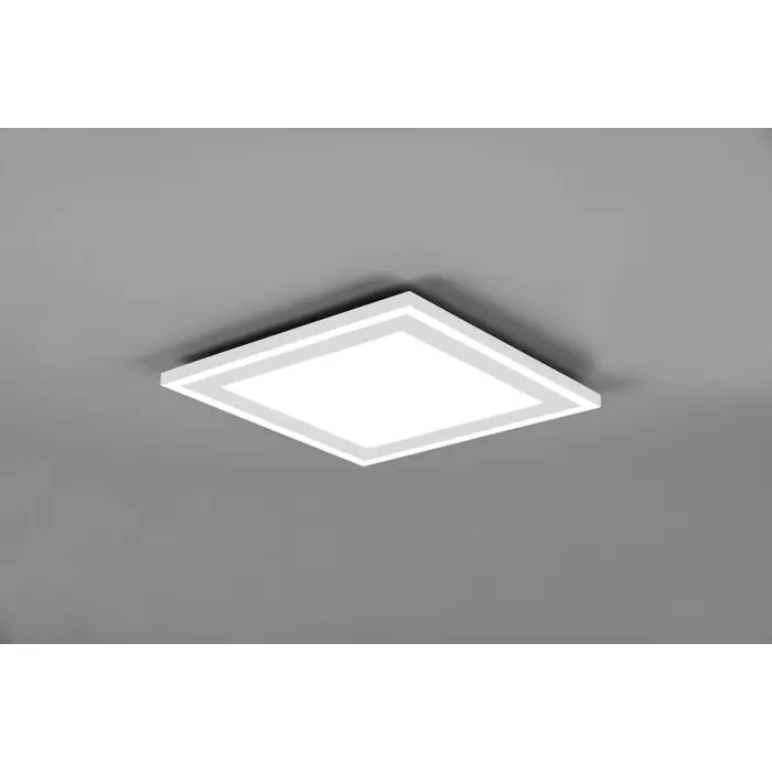 Reality Carus Plafondlamp LED Wit, 2-lichts Betrouwbaar
