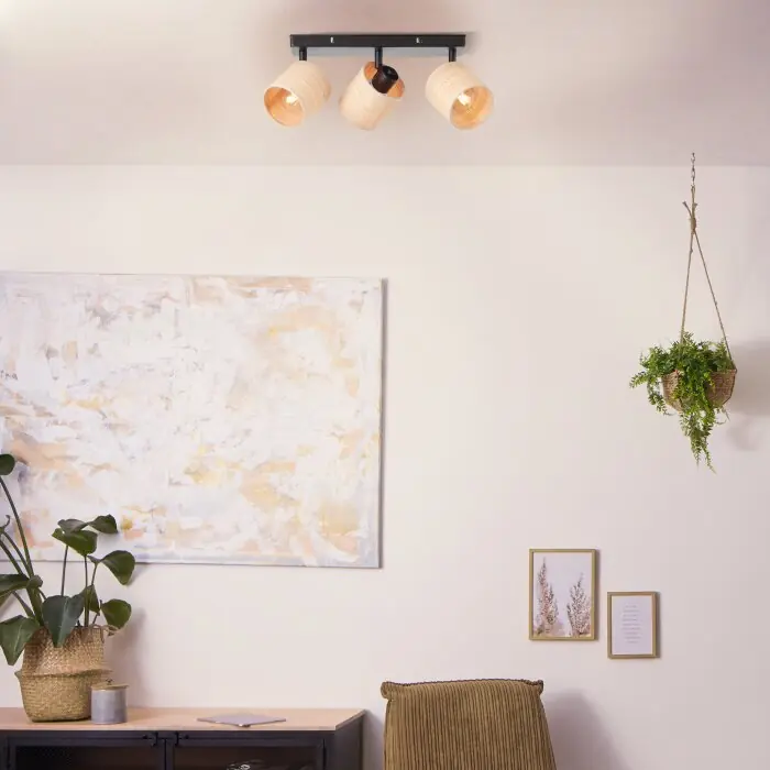 Betaalbaar Brilliant Raffy Plafondlamp Zwart, 3-lichts
