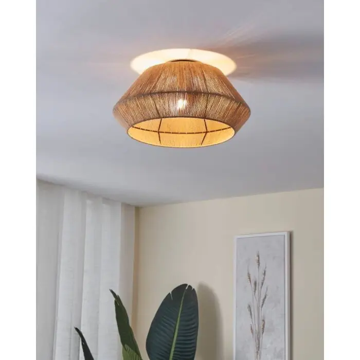 Eglo ALDERNEY Plafondlamp Zwart, 1-licht Laatste Versie