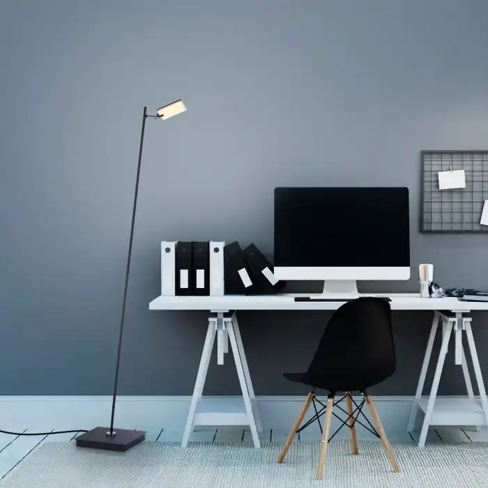 Meest Verkocht Paul Neuhaus PURE-MIRA Staande lamp LED Zwart, 1-licht, Afstandsbediening