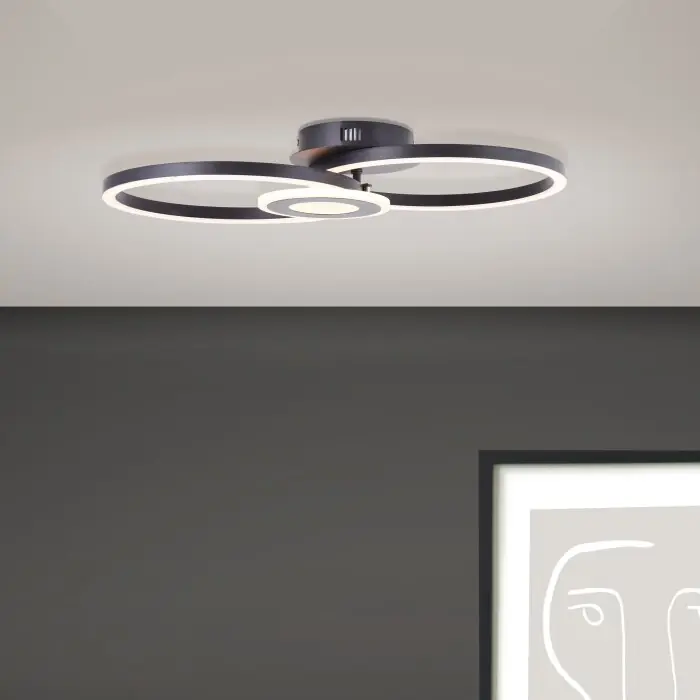 Laatste Kans Brilliant Bray Plafondlamp LED Zwart, Wit, 1-licht