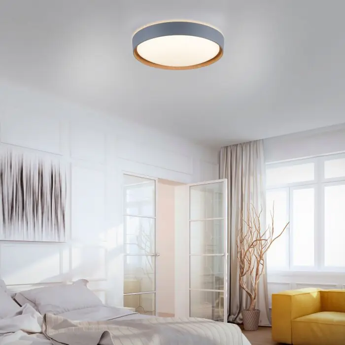 Must-Have Paul Neuhaus Q-EMILIA Plafondlamp LED Grijs, houtlook, 1-licht, Afstandsbediening