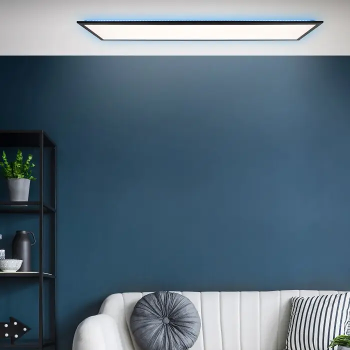 Exclusieve Aanbieding Brilliant Everett Plafondpaneel LED Zwart, 1-licht, Afstandsbediening, Kleurwisselaar