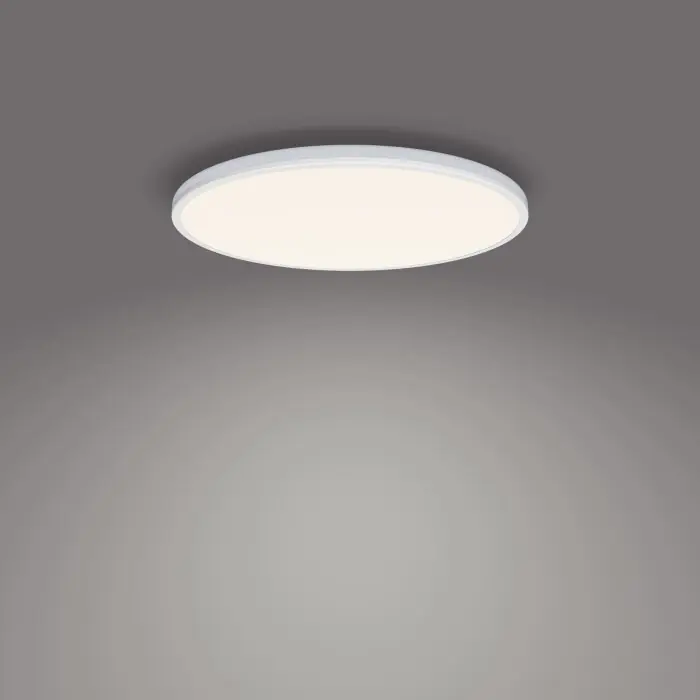Direct Verzonden Philips Ozziet Plafondpaneel LED Wit, 1-licht