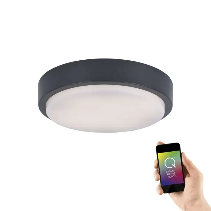 Rechtstreeks Van De Fabrikant Paul Neuhaus Q-LENNY Plafondlamp LED Antraciet, 1-licht, Afstandsbediening, Kleurwisselaar