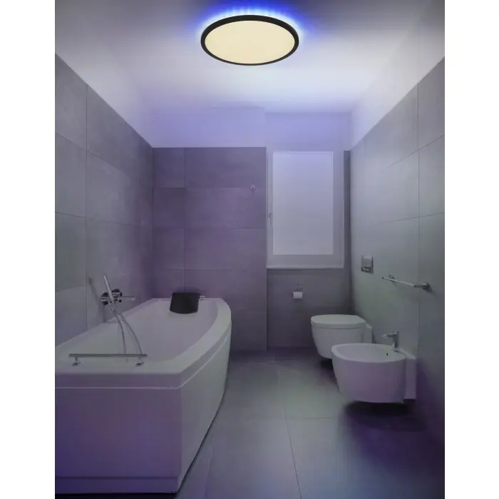 Must-Have Globo SAPANA Buitenshuis plafond verlichting LED Zwart, 1-licht, Afstandsbediening, Kleurwisselaar