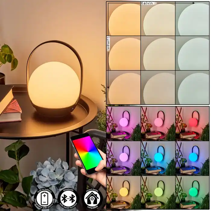 Must-Have Fair Tafellamp voor buiten LED Zwart, 1-licht, Kleurwisselaar